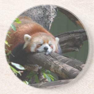 En Grès Dessous de verre de sommeil de panda rouge