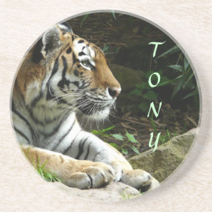 En Grès Dessous de verre de tigre