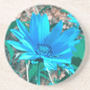 En Grès Dessous de verre de tournesol bleu sauvage