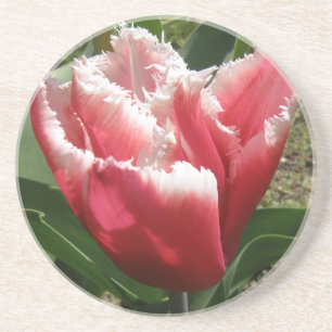 En Grès Dessous de verre de tulipes à franges roses
