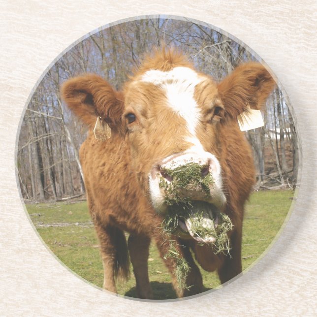 En Grès Dessous de verre de vache (Devant)