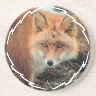 En Grès Dessous de verre d'espèces de Fox