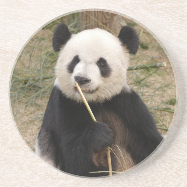 En Grès Dessous de verre d'ours panda (Devant)