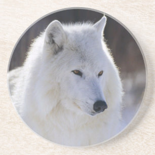En Grès Dessous de verre du loup arctique