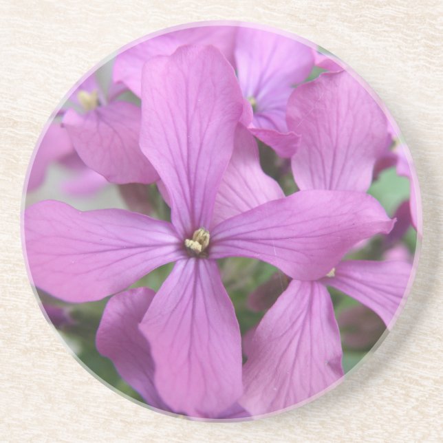 En Grès Dessous de verre Fleur sauvage violets (Devant)