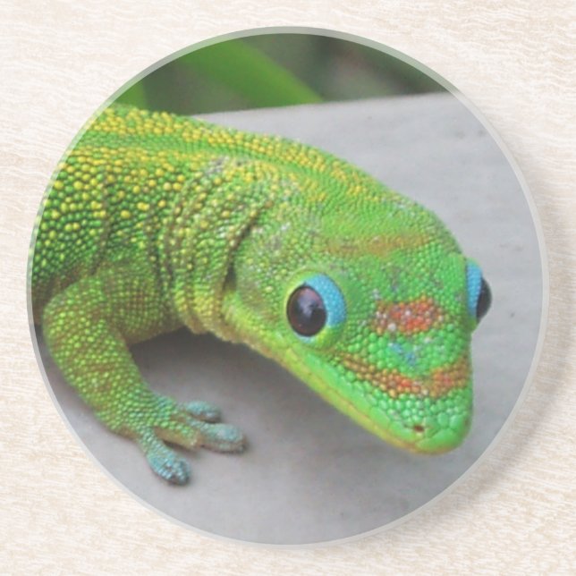 En Grès Dessous de verre Gecko de la journée de la poussiè (Devant)