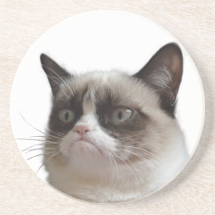 En Grès Dessous de verre Glaring de chat grincheux