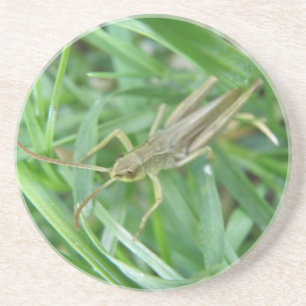 En Grès Dessous de verre Grasshopper