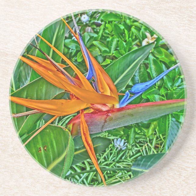 En Grès Dessous de verre Hawaii Bird Paradise (Devant)