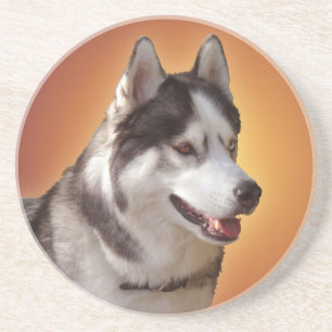 En Grès Dessous de verre Husky Dessous de verre Husky Mala