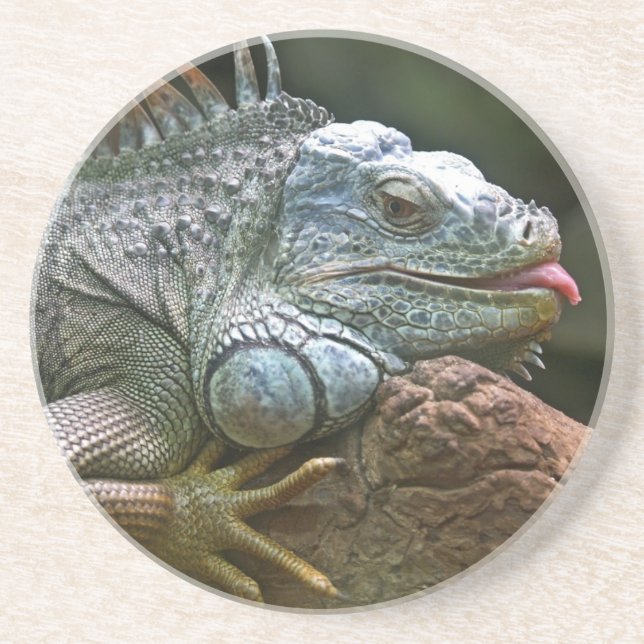 En Grès Dessous de verre Iguana (Devant)