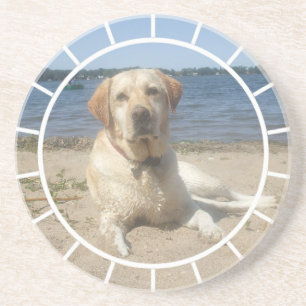 En Grès Dessous de verre jaunes de chien de labrador