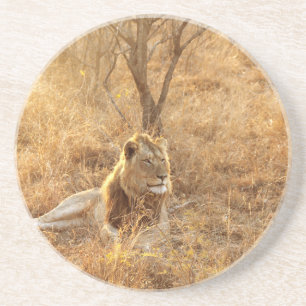 En Grès Dessous de verre Lion
