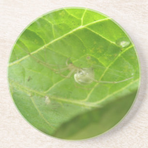 En Grès Dessous de verre Little Spider