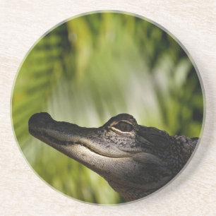 En Grès Dessous de verre louches d'alligator