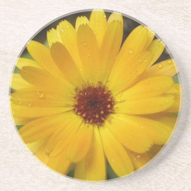 En Grès Dessous de verre Macro Marigold Jaune (Devant)