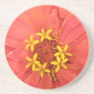 En Grès Dessous de verre Macro Red Zinnia