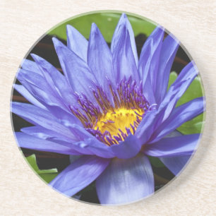 En Grès Dessous de verre Nénuphar tropical