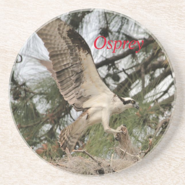 En Grès Dessous de verre Osprey Wildlife (Devant)