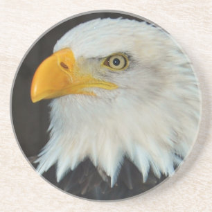 En Grès Dessous de verre principaux d'Eagle