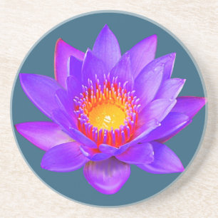 En Grès Fleur de lotus violette sur dessous de verre bleu