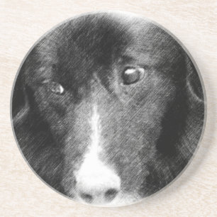 En Grès Frontière Collie Face Chien Dessous de verre anima