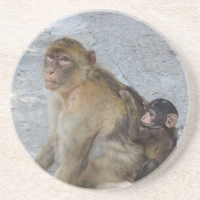 En Grès Gibraltar Monkeys dessous de verre (Devant)