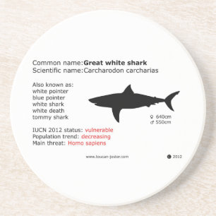 En Grès Grands dessous de verre de requin blanc