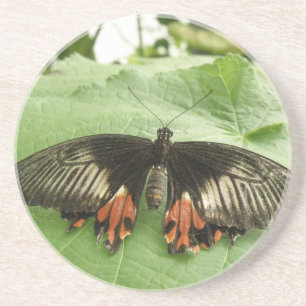 En Grès Joli Dessous de verre à papillon noir rouge et or