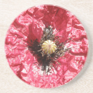 En Grès Joli Dessous de verre de Macro de fleurs de pavot 
