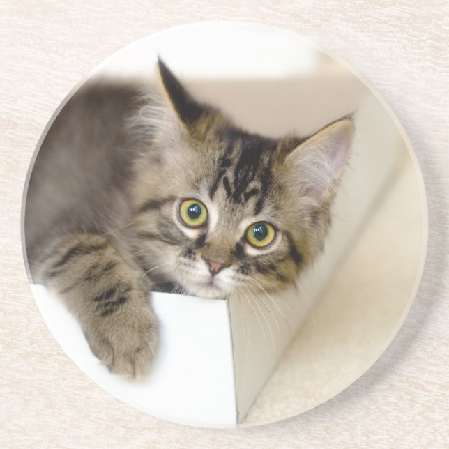 En Grès Kitty dans un dessous de verre de boîte (Devant)