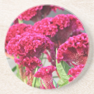 En Grès Le fuchsia fleurit des dessous de verre
