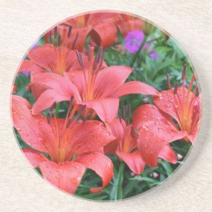 En Grès Orange Day Lys Dessous de verre Floral