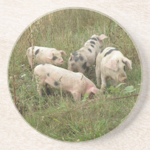 En Grès Porcs dans un Dessous de verre de campagne