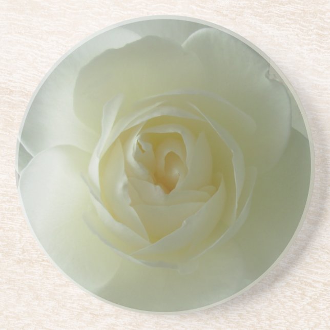 En Grès Rose blanche Dessous de verre Sunny Roses cadeaux  (Devant)