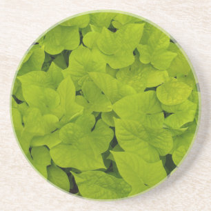 En Grès Série Plante/Fleur - Dessous de verre de la vigne