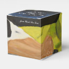 En Jésus Nom Nous Prions Les Ballotins