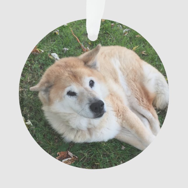 En Mémoire Amoureuse - Ornement photo pour animaux (devant)