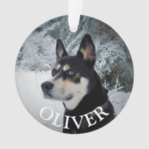 En mémoire des gardiens de Noël du chien de compag