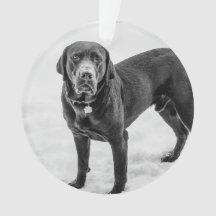 En mémoire - Mémoire personnalisable Black Lab