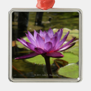En Métal Ornement Carré Premium Water Lily