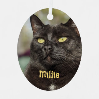 En Métal Ornement de chat personnalisé