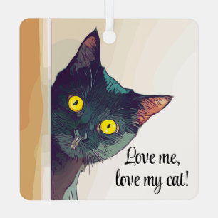 En Métal Peeking Cat Design Ornement