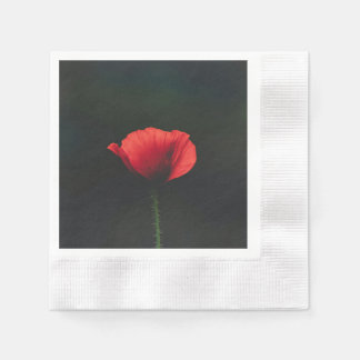En Papier Serviette : un terme alternatif courant.Mouchoir e