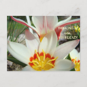 EN PENSÉE POUR VOUS, MON AMI ! Carte Postale Fleur