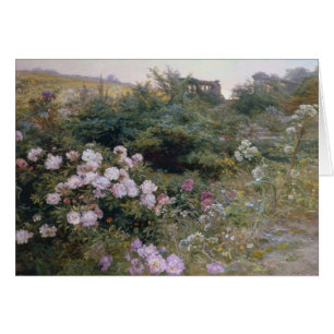 En pleine floraison