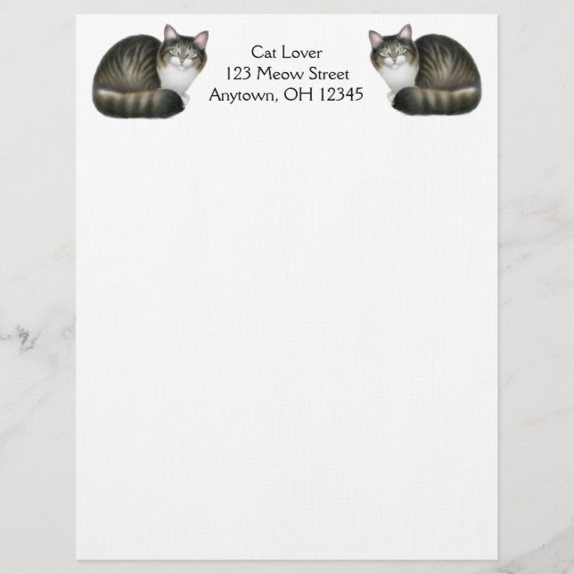 En-tête de lettre amical de chats tigrés (Devant)