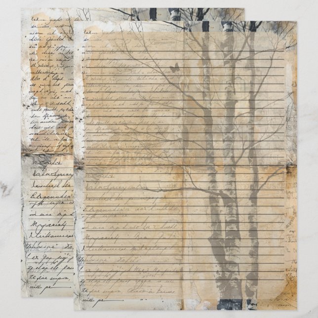 En-tête De Lettre Ancien manuscrit de Birch Tree (Devant / Derrière)