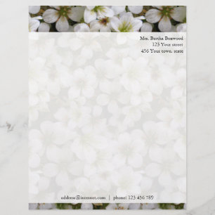 En-tête De Lettre Avec Motif Adresse faite sur commande botanique de fleurs