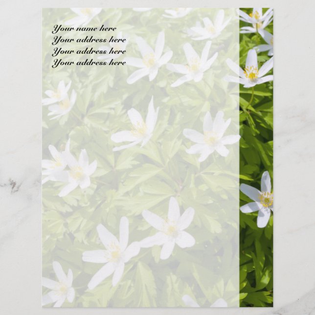 En-tête De Lettre Avec Motif Anémone des bois (Devant)